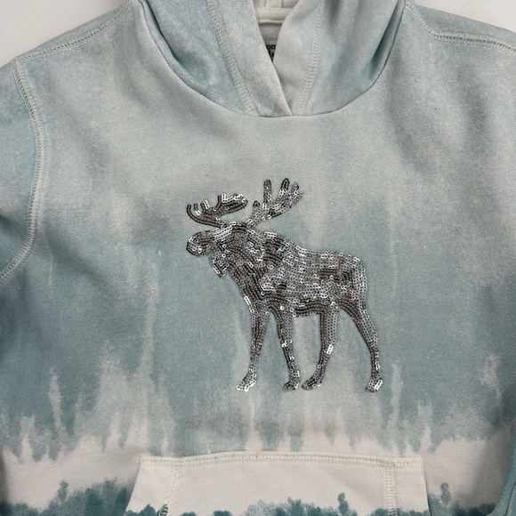 Abercrombie and Fitch Girls 13/14 Moose Graphic Tie-Dye Hoodie - Picture 3 of 5